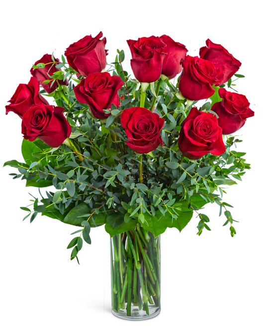 One Dozen Red Hot Roses