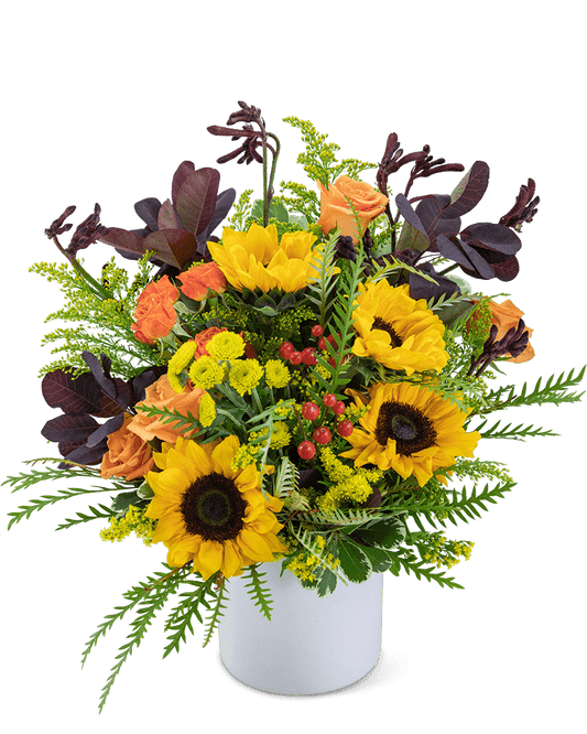 Overflowing with Sunshine