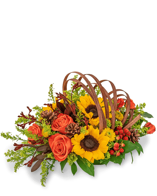 Creative Cornucopia