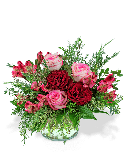 Cranberry Rose