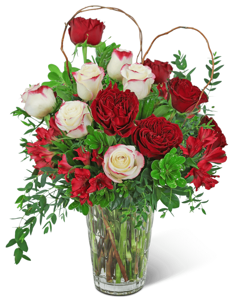 Language of Romance