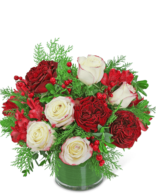 Luxe Peppermint Mocha