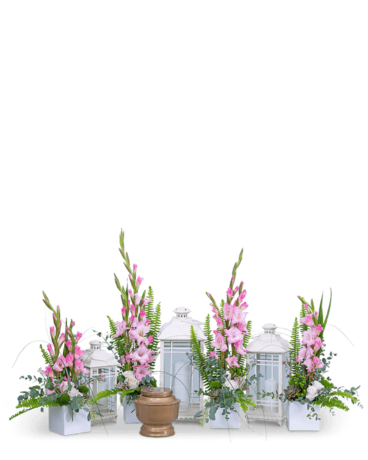 Light of Peace Tribute