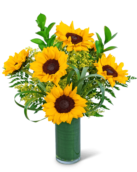 Ray Of Golden Sunflowers