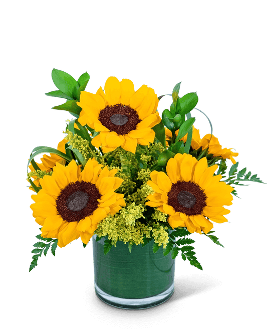 Sunshine Sunflowers