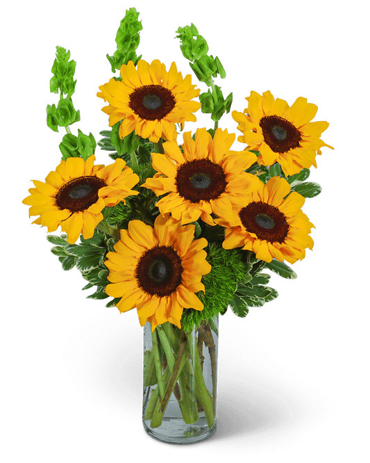 Sunflowers and Bells