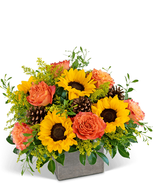 Luxe Woodland Sunshine