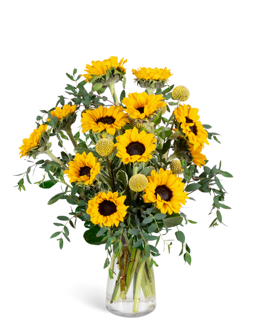 Wildflower Sunshine