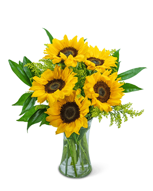 Sprinkle of Sunflowers