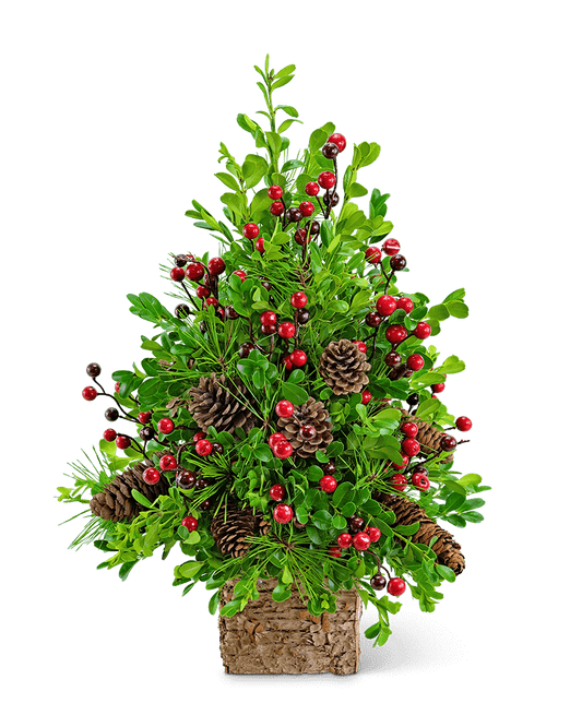 Adorned Boxwood Tree