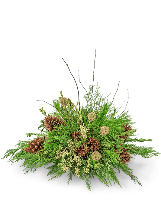 Evergreen Simplicity