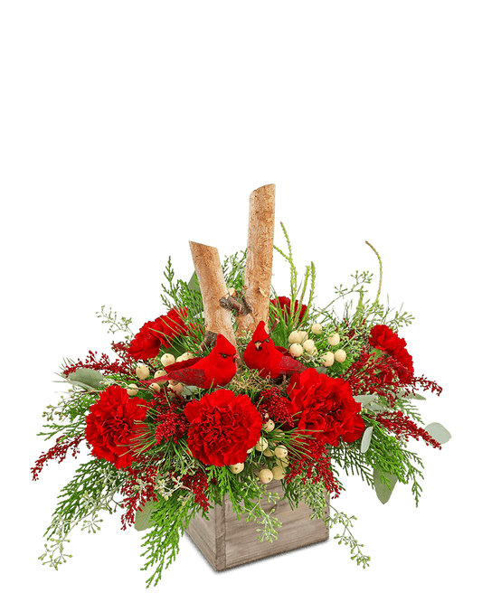 Woodland Cardinal Cheer