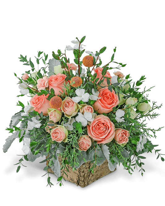 Glistening Honeycrisp