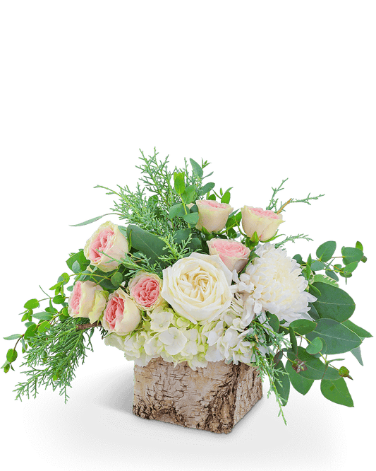 Birch Rosette
