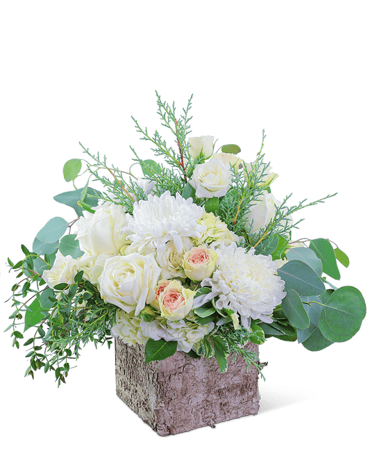 Blushing in Birch