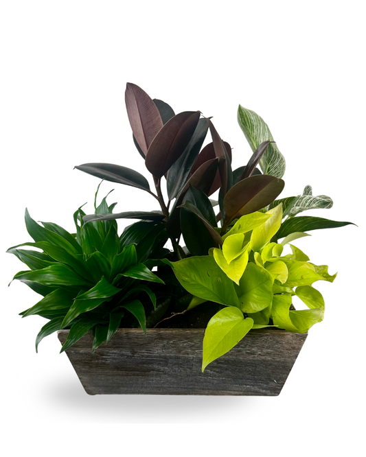 Large Rectangle Planter