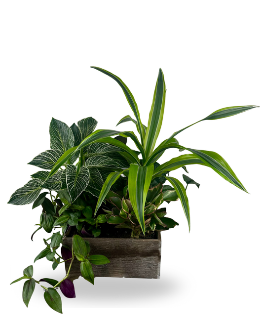 Large Square Planter