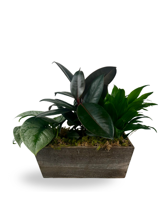 Shades of Green Planter