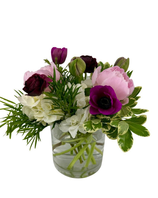 Spring Surprise