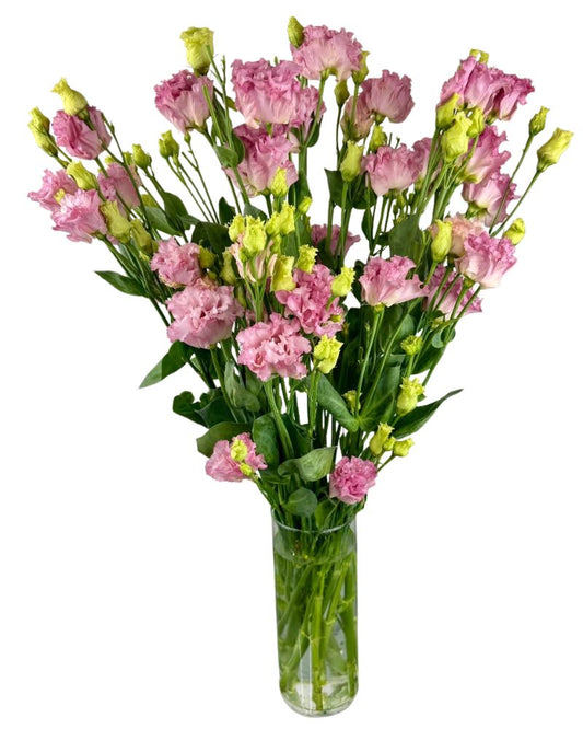 Pink Lisianthus Vase Limited Special
